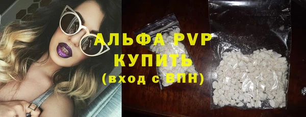 прущие грибы Верея