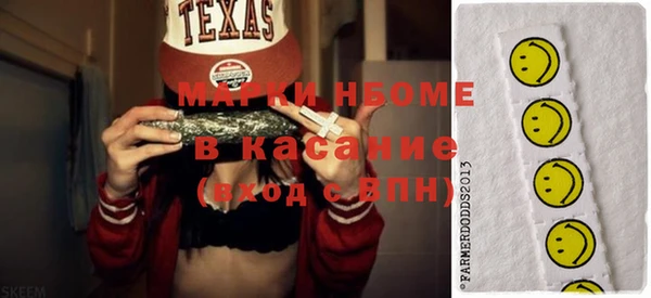 индика Вязьма