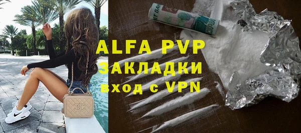 индика Вязьма