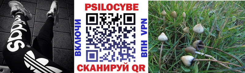 ссылка на мегу   магазин продажи   Волгореченск  Галлюциногенные грибы мицелий 